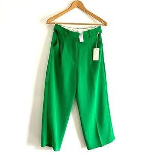 NWT Wilfred Effortless Crop Pant in gloss green. Perfect condition. Size 6.